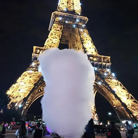 Cosy Near Eiffel Tour